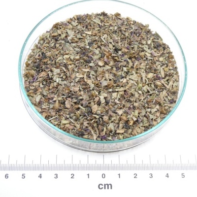 Ervas secas esfareladas em prato de vidro redondo com régua em centímetros