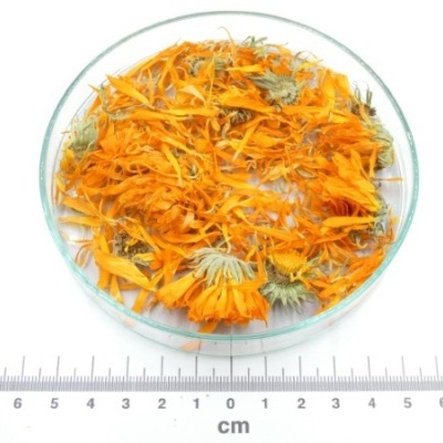 calendula flor granel