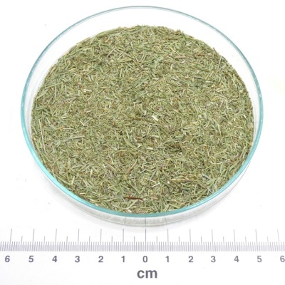 Erva seca verde em placa de vidro com régua e logótipo PÁSSARO DE ERVAS