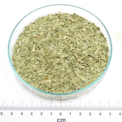 Tigela transparente com folhas secas verdes e régua em centímetros na base