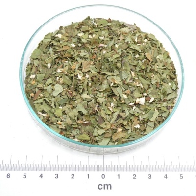 Prato de vidro com mistura de folhas verdes secas e flores brancas e régua em fundo branco