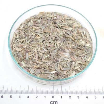 Ervas secas picadas num prato de vidro com régua em centímetros no fundo e logotipo PÁSSARO DE ERVAS