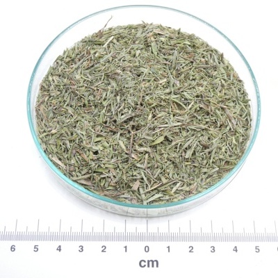 Erva seca verde em placa de vidro com régua em cm ao lado