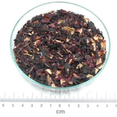 hibisco flor cortada granel