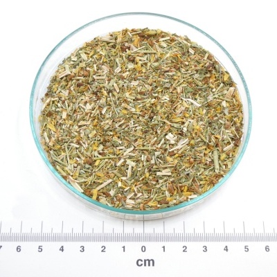 Mistura de ervas secas num recipiente de vidro com régua em centímetros