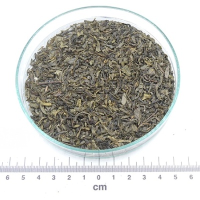 Folhas secas de chá verde em prato de vidro sobre régua em cm