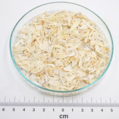 Tigela com cebola seca picada e régua em centímetros