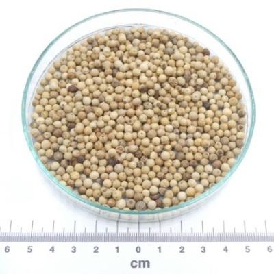 pimenta branca grao granel