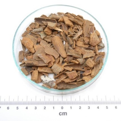 canela da indonesia bio granel