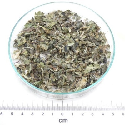 cardo mariano planta granel