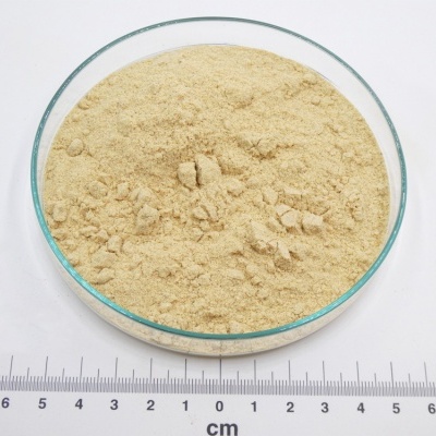Pó amarelo em placa de vidro com régua e logótipo