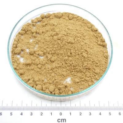 Pó castanho em placa de vidro com régua em centímetros e logótipo PÁSSARO DE ERVAS