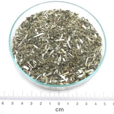 agripalma folhas granel