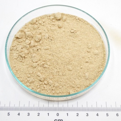 Pó bege claro em placa de vidro com régua e logótipo PÁSSARO DE ERVAS