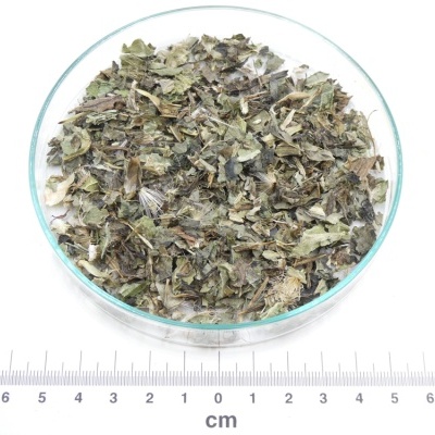 Mistura de folhas e ervas secas num prato de vidro transparente com régua em cm e logo de pássaro