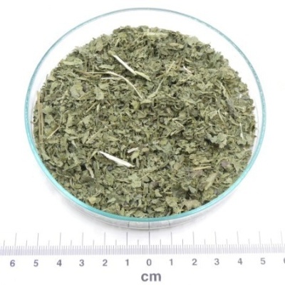 urtiga folha cortada