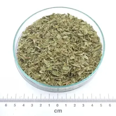 Pétalas secas verdes num prato de vidro redondo com régua em centímetros abaixo