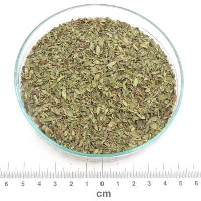 Recipiente em vidro com folhas secas verdes e régua em centímetros em fundo branco