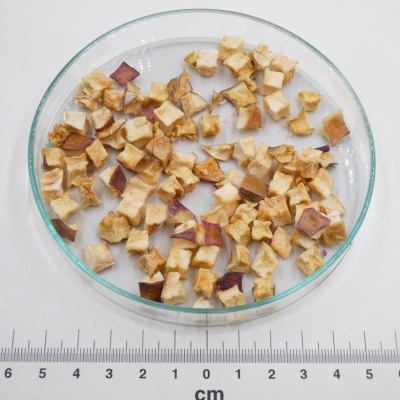 Pedaços de maçã desidratada numa placa de Petri com régua