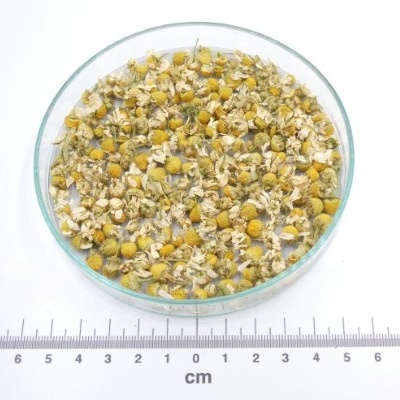 camomila flor bio a granel