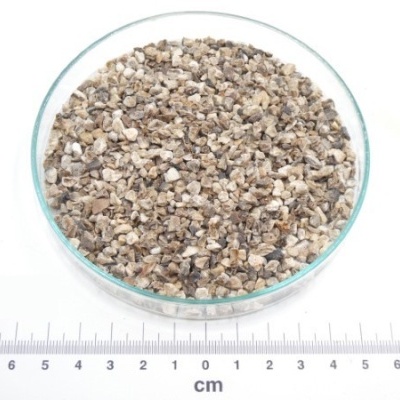 unha do diabo raiz granel