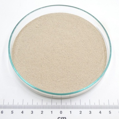 Pó bege claro em placa de Petri com régua em centímetros