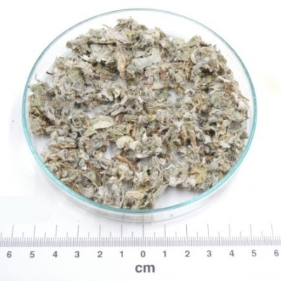 alcachofra folha granel