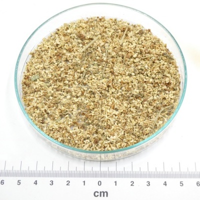 Recipiente de vidro com ervas secas trituradas ao lado de régua em centímetros.