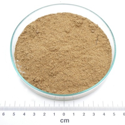 Pó castanho claro em recipiente de vidro com régua e logótipo PÁSSARO DE ERVAS