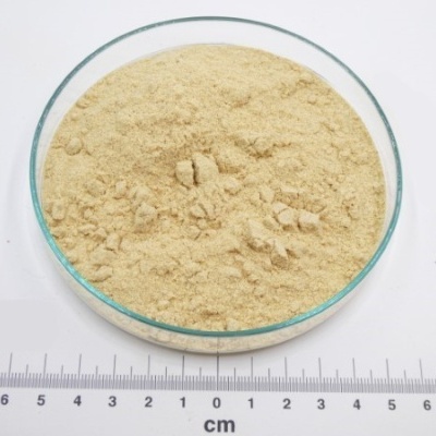 mostarda branca po granel