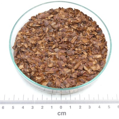 Pétalas secas castanho-escuras num recipiente redondo de vidro com régua em centímetros abaixo.