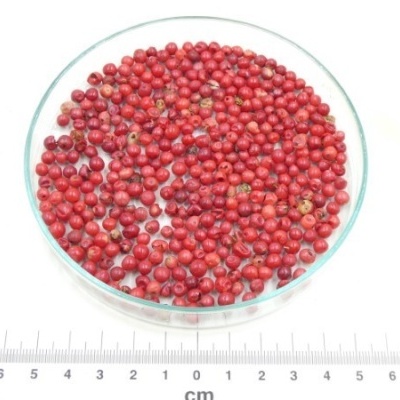 aroeira vermelha bio granel