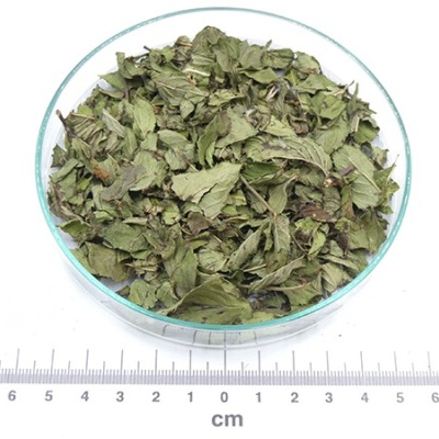 mistura duas mentas bio granel