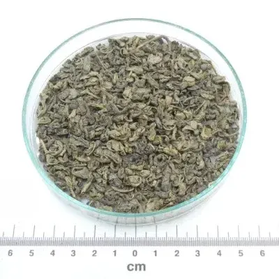 chá verde gunpowder biológico a granel