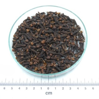 Cravinho bio a granel