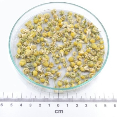 camomila flor granel