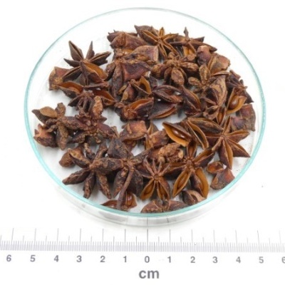 anis estrelado fruto granel