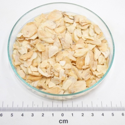 Prato de vidro com pedaços secos de raiz bege clara e régua em centímetros