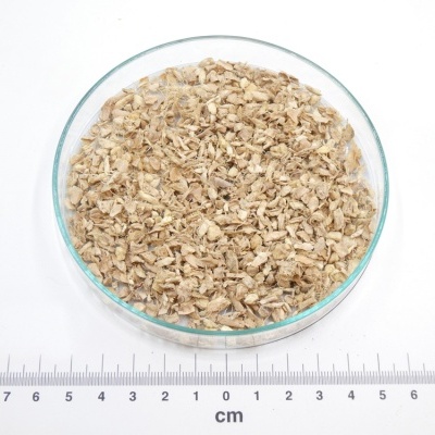 Pedaços secos de raiz clara em placa de vidro transparente com régua cm em fundo branco