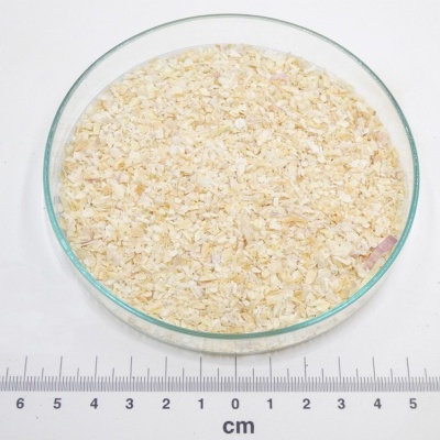 alho desidratado em prato de vidro com régua em centímetros