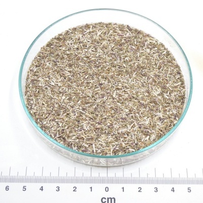 Prato de vidro com ervas secas e régua em centímetros