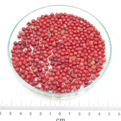 Frutos vermelhos em prato de vidro com régua em cm