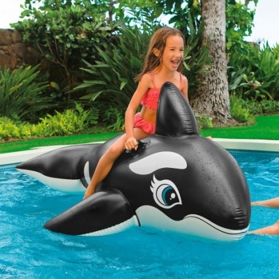 Criança numa bóia insuflável de orca numa piscina exterior