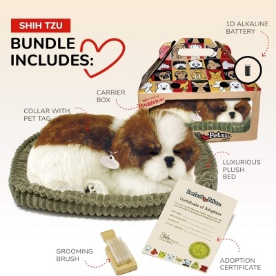 Conjunto para Shih Tzu com cama de peluche, cão de peluche castanho e branco, coleira, escova e certificado numa caixa decorada.