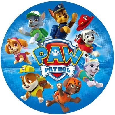 Imagem dos personagens da série PAW Patrol com logótipo colorido central