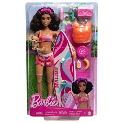 Boneca Barbie com prancha de surf e acessórios em embalagem transparente