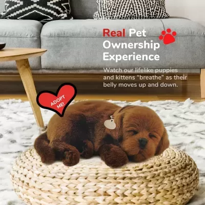 Cachorro marrom a dormir num tapete de fibra trançada com texto sobre experiência de posse de animais