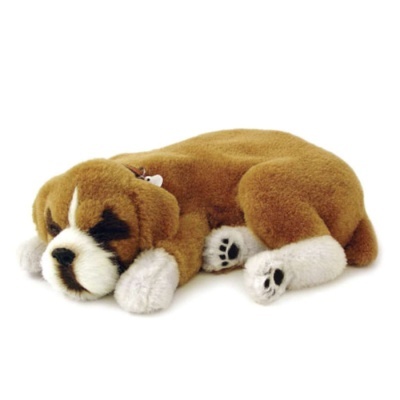 Pelúcia de cão castanho a branco deitado com patas visíveis