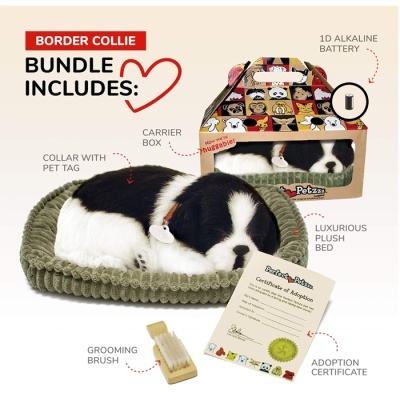 Conjunto de Border Collie com cama verde, cão de peluche, caixa transportadora, escova e certificado