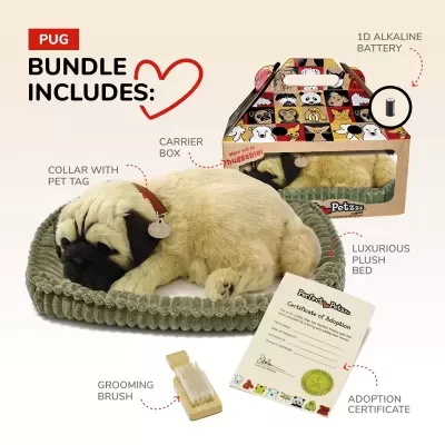 Conjunto para cão Pug com cama de pelúcia, cão de pelúcia, escova, caixa transportadora e certificado